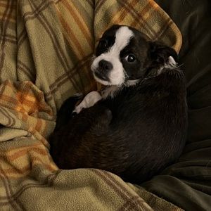 Meet your Posher, Tina